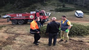 Kastamonu'daki 2 yangında yaklaşık 45 hektar ormanlık alan zarar gördü