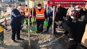 Keçiören'de fidanlar toprakla buluştu