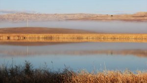 "Kesin korunacak hassas alan" ilan edilen Hafik Gölü'nde sonbahar güzelliği 
