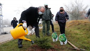 KKTC, Azerbaycan, Bosna Hersek ve Arnavutluk'ta binlerce fidan toprakla buluştu