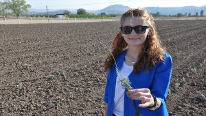 Kokusundan ve görüntüsünden etkilenip memleketine lavanta bahçesi kurdu