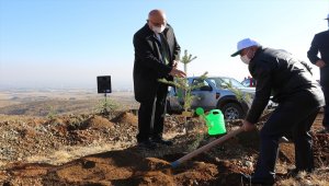 Konya'da öğretmenler için oluşturulan hatıra ormanına ilk fidanlar dikildi