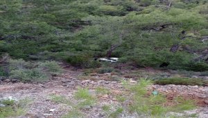 Muğla'da uçuruma yuvarlanan otomobilin sürücüsü kurtarıldı