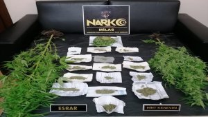 Muğla'da uyuşturucu operasyonunda gözaltına alınan 9 zanlı tutuklandı