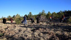 Nevşehir'de vefat eden ve yeni doğanlar için dikilen fidanlara can suyu