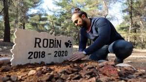 Ölen köpeğini üniversitenin desteğiyle kampüste yaptırdığı mezara gömdü