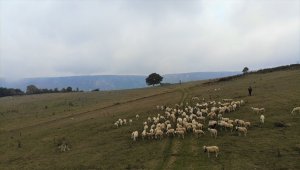 Osmanlı'nın kışlağı Söğüt'te yaylacıların eve dönüşü başladı
