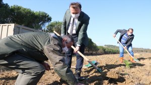 Sakarya'da "Anadolu Ajansı 100. Yıl Hatıra Ormanı" oluşturuldu