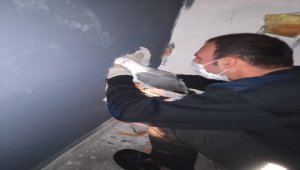 Samsun'da binanın havalandırma boşluğunda mahsur kalan martı kurtarıldı
