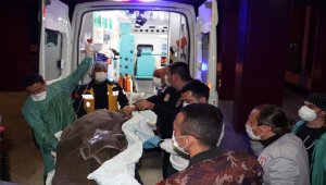 Samsun'da görevden dönen filyasyon ekibini taşıyan otomobil ağaca çarptı: 3 ağır yaralı