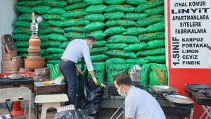 Samsun'un hava kalitesinin korunması için kömür denetimi