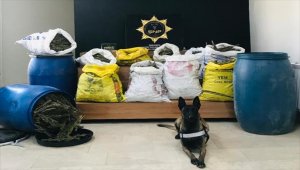 Şanlıurfa'da uyuşturucu operasyonunda 84 kilogram esrar ele geçirildi