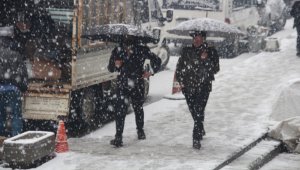 Şemdinli'de kar yağışı hayatı olumsuz etkiledi