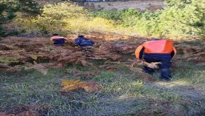 Sinop'ta 7 gündür haber alınamayan 98 yaşındaki kişinin cesedi bulundu