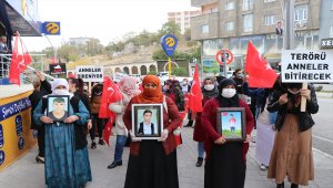 Şırnak'taki terör mağdurlarının HDP binası önündeki eylemine Diyarbakır annelerinden destek 