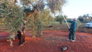 Sokağa çıkma kısıtlamasından muaf tutulan çiftçiler tarlanın yolunu tuttu