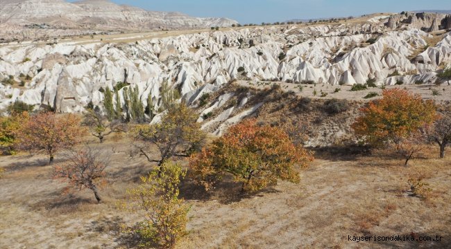 Sonbaharda Kapadokya, "sarı"nın her tonuyla ayrı bir görsel şölen sunuyor
