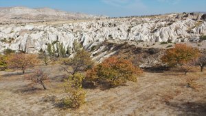 Sonbaharda Kapadokya, "sarı"nın her tonuyla ayrı bir görsel şölen sunuyor