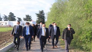 TİKA, KKTC'deki fidan üretim istasyonlarını modernize etti