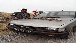 Tunceli'de kaçak avcılara 15 bin 500 lira ceza kesildi