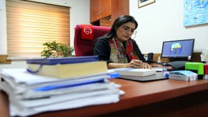 Türkiye'deki Azerbaycanlı akademisyenlerin "Dağlık Karabağ" sevinci