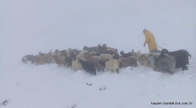 Van'da etkili olan kar, çobanlara zor anlar yaşattı