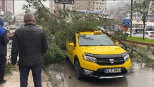 Zonguldak'ta ağacın taksinin üzerine devrilmesi güvenlik kamerasına yansıdı