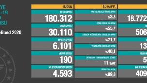1 Aralık Türkiye korona virüs tablosu: 190 can kaybı, 30 bin 110 yeni vaka