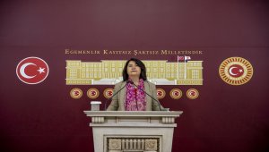 HDP'li Pekgözegü'den "Gerekirse özel hastaneler kamusallaştırılsın" önerisi