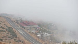 Kahramanmaraş'ta sis etkili oldu 