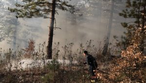 Kastamonu'da çıkan orman yangını kontrol altına alındı
