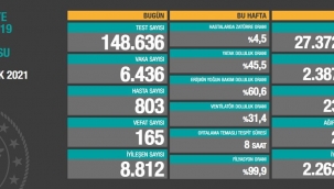 17 Ocak Türkiye korona virüs tablosu: 165 can kaybı, 6 bin 436 yeni vaka