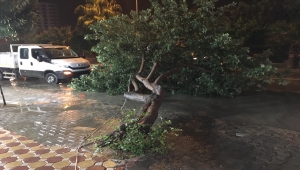 Adana'da sağanak ve kuvvetli rüzgar hayatı olumsuz etkiledi