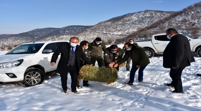 Aksaray'da yaban hayvanları için doğaya 10 ton yem bırakıldı