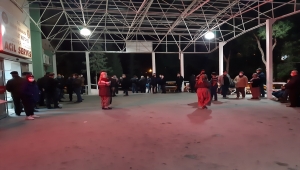 Aydın'da devrilen otomobildeki 1 kişi öldü, 2 kişi yaralandı