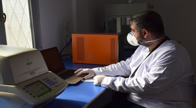Barış Pınarı Harekatı bölgesine 5 PCR test laboratuvarı kuruldu