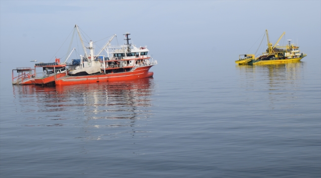 Batı Karadeniz'de balıkçılar hamsi avının durdurulmasıyla istavrite yönelecek 