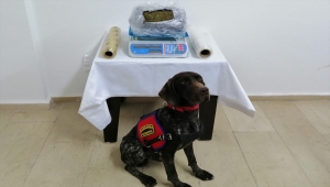 Batman'daki uyuşturucu operasyonunda bir şüpheli gözaltına alındı