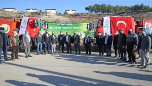Beşiktaş Kulübü, Hatay'da yanan ormanlara fidan dikti