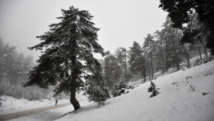 Bilecik'in yüksek kesimlerinde kar yağışı etkili oluyor 