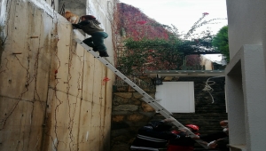 Bodrum'da vücuduna demir çubuk saplanan kedi kurtarıldı