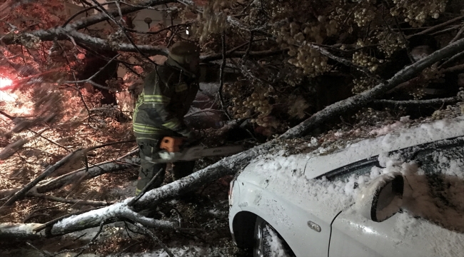 Bursa'da kar yağışından devrilen ağaç iki otomobile zarar verdi