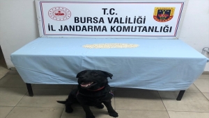 Bursa'da kırlentin içine gizlenmiş 1821 adet uyuşturucu hap ele geçirildi