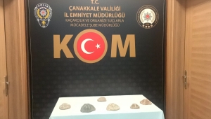 Çanakkale'de 2 milyon yaşında olduğu değerlendirilen 6 deniz yıldızı fosili ele geçirildi