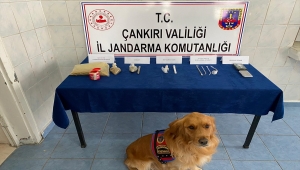 Çankırı'da uyuşturucu operasyonunda gözaltına alınan bir kişi tutuklandı