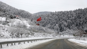 Doğu Karadeniz'de kar yağışı etkili oluyor