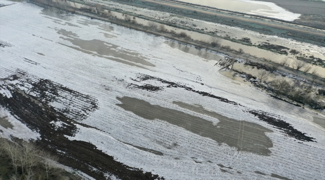 Edirne'de Tunca Nehri kenarındaki tarlalar soğuk nedeniyle buz tuttu 