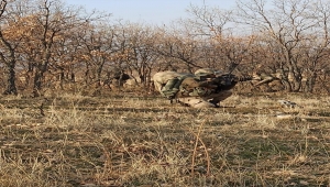 "Eren-4 Karlıova-Varto" ve "Eren-5 Bagok" operasyonları başlatıldı