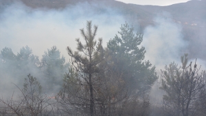 GÜNCELLEME - Kastamonu'da çıkan orman yangını kontrol altına alındı