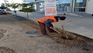 GÜNCELLEME - Kilis'te semaverde çay yapmak için ağaç kestiği iddia edilen kişiye para cezası kesildi